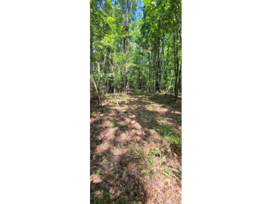 With hunting season officially here, we're excited to present on  in Arkansas - for sale on GolfHomes.com, golf home, golf lot