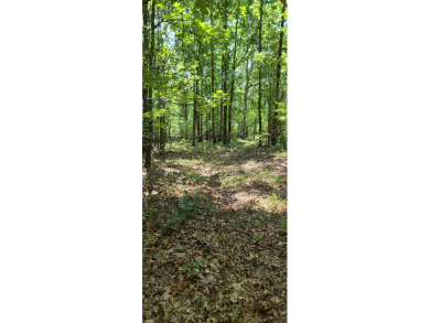 With hunting season officially here, we're excited to present on  in Arkansas - for sale on GolfHomes.com, golf home, golf lot