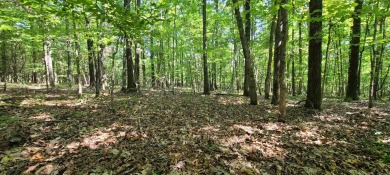 With hunting season officially here, we're excited to present on  in Arkansas - for sale on GolfHomes.com, golf home, golf lot