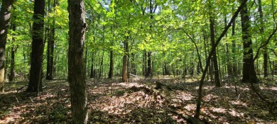 With hunting season officially here, we're excited to present on  in Arkansas - for sale on GolfHomes.com, golf home, golf lot