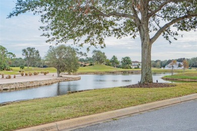 Welcome to Your Future Home Site at 439 Bourganville Dr., Palm on Conservatory Course At Hammock Beach Resort in Florida - for sale on GolfHomes.com, golf home, golf lot