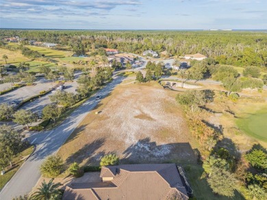 Welcome to Your Future Home Site at 439 Bourganville Dr., Palm on Conservatory Course At Hammock Beach Resort in Florida - for sale on GolfHomes.com, golf home, golf lot