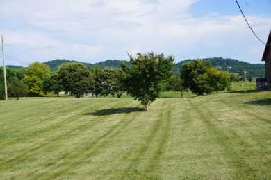 Discover the elegance of Dumplin Valley on Patriot Hills Golf Club in Tennessee - for sale on GolfHomes.com, golf home, golf lot