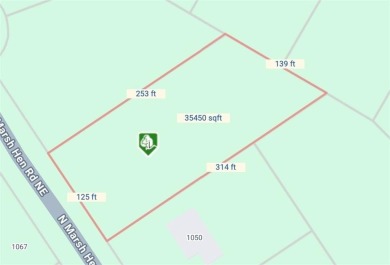 Come see what *Bluff Life* is all about! This lovely 0.81 acre on Sapelo Hammock Golf Club in Georgia - for sale on GolfHomes.com, golf home, golf lot
