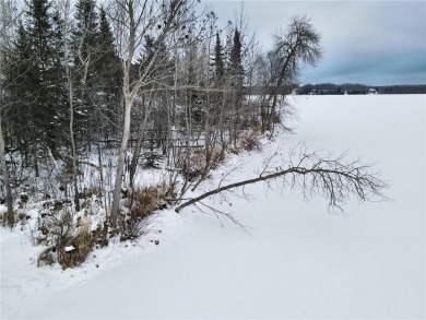 Begin your lake life dream with this beautiful south facing on Eagle Ridge Golf Course in Minnesota - for sale on GolfHomes.com, golf home, golf lot