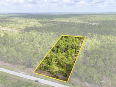 Come Build Your Florida Dream!

Welcome to Lot 61 Meadowlark on Indian Lake Estates Golf and Country Club in Florida - for sale on GolfHomes.com, golf home, golf lot