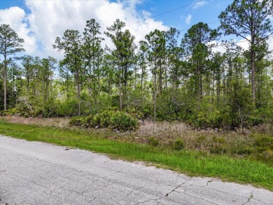 Come Build Your Florida Dream!

Welcome to Lot 61 Meadowlark on Indian Lake Estates Golf and Country Club in Florida - for sale on GolfHomes.com, golf home, golf lot