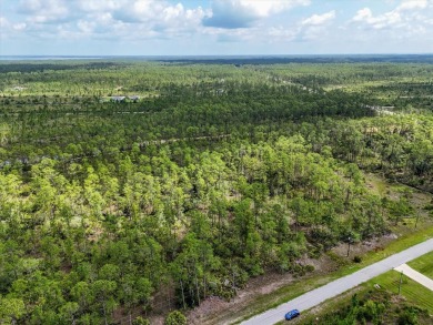 Come Build Your Florida Dream!

Welcome to Lot 61 Meadowlark on Indian Lake Estates Golf and Country Club in Florida - for sale on GolfHomes.com, golf home, golf lot