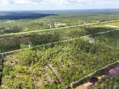 Come Build Your Florida Dream!

Welcome to Lot 61 Meadowlark on Indian Lake Estates Golf and Country Club in Florida - for sale on GolfHomes.com, golf home, golf lot