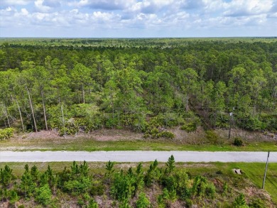 Come Build Your Florida Dream!

Welcome to Lot 61 Meadowlark on Indian Lake Estates Golf and Country Club in Florida - for sale on GolfHomes.com, golf home, golf lot