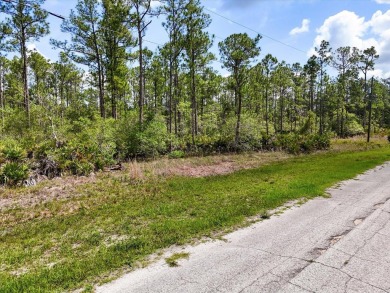 Come Build Your Florida Dream!

Welcome to Lot 61 Meadowlark on Indian Lake Estates Golf and Country Club in Florida - for sale on GolfHomes.com, golf home, golf lot
