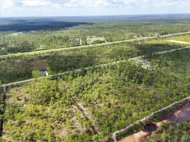 Come Build Your Florida Dream!

Welcome to Lot 61 Meadowlark on Indian Lake Estates Golf and Country Club in Florida - for sale on GolfHomes.com, golf home, golf lot