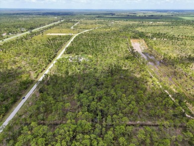 Come Build Your Florida Dream!

Welcome to Lot 61 Meadowlark on Indian Lake Estates Golf and Country Club in Florida - for sale on GolfHomes.com, golf home, golf lot