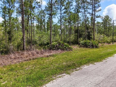 Come Build Your Florida Dream!

Welcome to Lot 62 Meadowlark on Indian Lake Estates Golf and Country Club in Florida - for sale on GolfHomes.com, golf home, golf lot