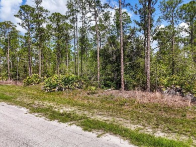 Come Build Your Florida Dream!

Welcome to Lot 62 Meadowlark on Indian Lake Estates Golf and Country Club in Florida - for sale on GolfHomes.com, golf home, golf lot