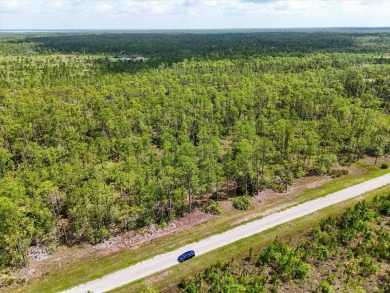 Come Build Your Florida Dream!

Welcome to Lot 62 Meadowlark on Indian Lake Estates Golf and Country Club in Florida - for sale on GolfHomes.com, golf home, golf lot
