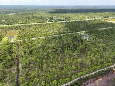 Come Build Your Florida Dream!

Welcome to Lot 62 Meadowlark on Indian Lake Estates Golf and Country Club in Florida - for sale on GolfHomes.com, golf home, golf lot