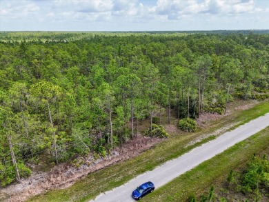 Come Build Your Florida Dream!

Welcome to Lot 62 Meadowlark on Indian Lake Estates Golf and Country Club in Florida - for sale on GolfHomes.com, golf home, golf lot