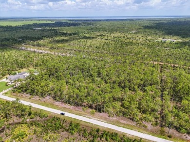 Come Build Your Florida Dream!

Welcome to Lot 62 Meadowlark on Indian Lake Estates Golf and Country Club in Florida - for sale on GolfHomes.com, golf home, golf lot