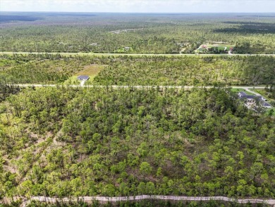 Come Build Your Florida Dream!

Welcome to Lot 62 Meadowlark on Indian Lake Estates Golf and Country Club in Florida - for sale on GolfHomes.com, golf home, golf lot
