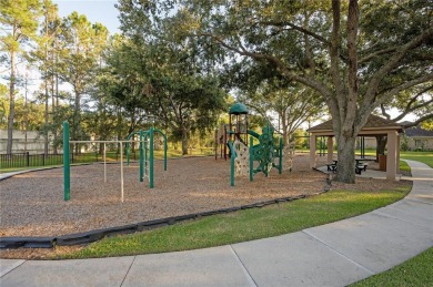 **CHEVAL DREAM HOME! PRICED BELOW MARKET FOR QUICK SALE!!RARE on TPC of Tampa Bay in Florida - for sale on GolfHomes.com, golf home, golf lot