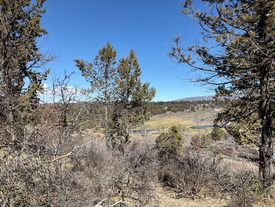 Panorama Views on Level Lot at the Running Y!  Build your dream on Running Y Ranch Resort in Oregon - for sale on GolfHomes.com, golf home, golf lot
