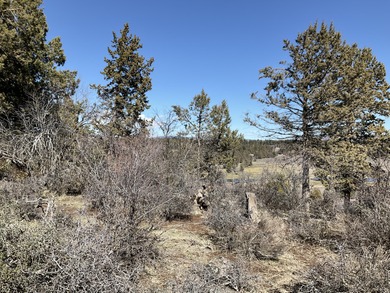 Panorama Views on Level Lot at the Running Y! Build your dream on Running Y Ranch Resort in Oregon - for sale on GolfHomes.com, golf home, golf lot
