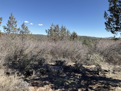 Panorama Views on Level Lot at the Running Y! Build your dream on Running Y Ranch Resort in Oregon - for sale on GolfHomes.com, golf home, golf lot