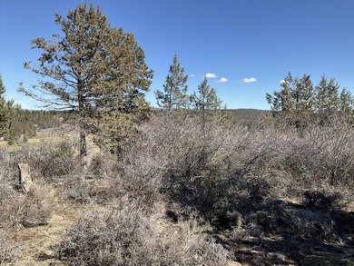 Panorama Views on Level Lot at the Running Y! Build your dream on Running Y Ranch Resort in Oregon - for sale on GolfHomes.com, golf home, golf lot