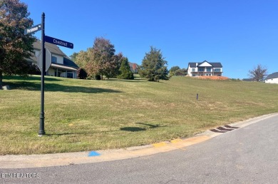 Sellers offering $5000 in Closing Cost. Motivated Seller, Bring on Tennessee National Golf Club in Tennessee - for sale on GolfHomes.com, golf home, golf lot