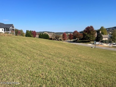 Sellers offering $5000 in Closing Cost. Motivated Seller, Bring on Tennessee National Golf Club in Tennessee - for sale on GolfHomes.com, golf home, golf lot