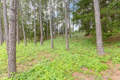 Great opportunities abound for this .46 acre lot in Barnes Bluff on South Harbour Golf Links in North Carolina - for sale on GolfHomes.com, golf home, golf lot