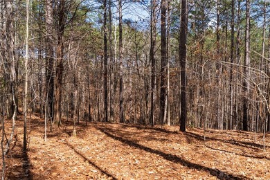 Set within the highly desirable community of The Cliffs at on The Cliffs At Keowee Springs in South Carolina - for sale on GolfHomes.com, golf home, golf lot