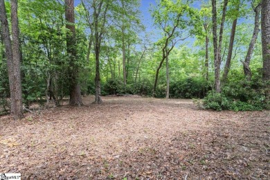 Listing Presented by Dina Elm Berkshire Hathaway C. Dan Joyner on The Cliffs Valley Golf Course in South Carolina - for sale on GolfHomes.com, golf home, golf lot