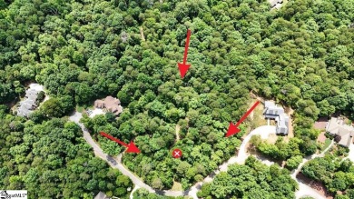 Listing Presented by Dina Elm Berkshire Hathaway C. Dan Joyner on The Cliffs Valley Golf Course in South Carolina - for sale on GolfHomes.com, golf home, golf lot