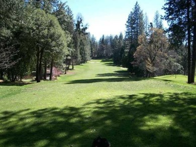 Nestled among majestic redwood trees in the prestigious Forest on Forest Meadows Golf Course in California - for sale on GolfHomes.com, golf home, golf lot