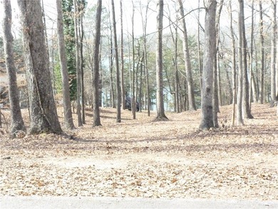 Welcome to Chickasaw Point!! That lakefront home you've been on The Trail At Chickasaw Pointe in South Carolina - for sale on GolfHomes.com, golf home, golf lot
