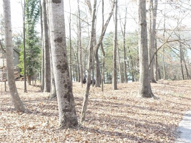 Welcome to Chickasaw Point!! That lakefront home you've been on The Trail At Chickasaw Pointe in South Carolina - for sale on GolfHomes.com, golf home, golf lot