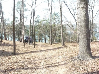 Welcome to Chickasaw Point!! That lakefront home you've been on The Trail At Chickasaw Pointe in South Carolina - for sale on GolfHomes.com, golf home, golf lot