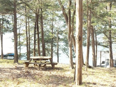 Welcome to Chickasaw Point!! That lakefront home you've been on The Trail At Chickasaw Pointe in South Carolina - for sale on GolfHomes.com, golf home, golf lot