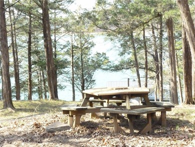 Welcome to Chickasaw Point!! That lakefront home you've been on The Trail At Chickasaw Pointe in South Carolina - for sale on GolfHomes.com, golf home, golf lot