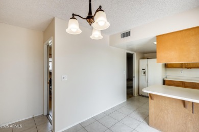 How would you like to live in the ultimate 55+ neighborhood on Sun City Lakes West and East in Arizona - for sale on GolfHomes.com, golf home, golf lot