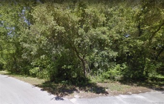 INVESTOR and BUILDER ALERT!! 1/3 acre lot with tons of on LakeSide Country Club in Florida - for sale on GolfHomes.com, golf home, golf lot