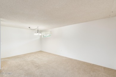 How would you like to live in the ultimate 55+ neighborhood on Sun City Lakes West and East in Arizona - for sale on GolfHomes.com, golf home, golf lot