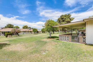 How would you like to live in the ultimate 55+ neighborhood on Sun City Lakes West and East in Arizona - for sale on GolfHomes.com, golf home, golf lot