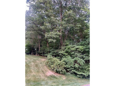 Beautiful building lot with seasonal lake views. Great location on Lake Mohawk Golf Club in Ohio - for sale on GolfHomes.com, golf home, golf lot