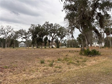 Rare Find!! Lot 104 is a double lot with only one HOA fee -- a on The Golf Club At Sanctuary Cove in Georgia - for sale on GolfHomes.com, golf home, golf lot