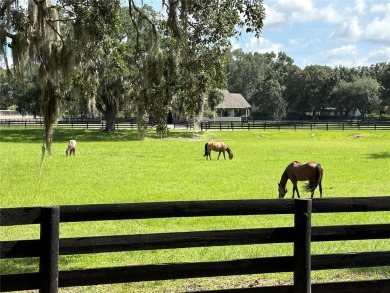 New Price!! New Staging  Photos! ~oNew ROOF 2021o~ Live Oaks on The Links of Spruce Creek in Florida - for sale on GolfHomes.com, golf home, golf lot