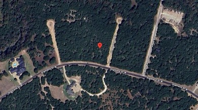 Live Where Every Day Feels Like a Vacation!
Build your dream on White Bluff Resort - Old Course in Texas - for sale on GolfHomes.com, golf home, golf lot