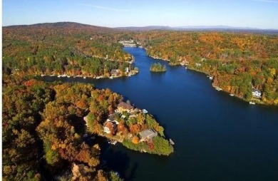 DEEP WATER LAKEFRONT! 210' of Lake Frontage and DOCK! Build Your on The Highlands Course at Lake Arrowhead in Georgia - for sale on GolfHomes.com, golf home, golf lot